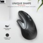 Mouse fara fir trust verro ergonomic wireless mouse  specifications general