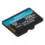 Microsd kingston canvas go plus 256gb ad