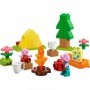 Excursie cu cortul lego 10452