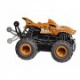 Masinuta cu telecomanda Hot Wheels monster truck 5'' tige